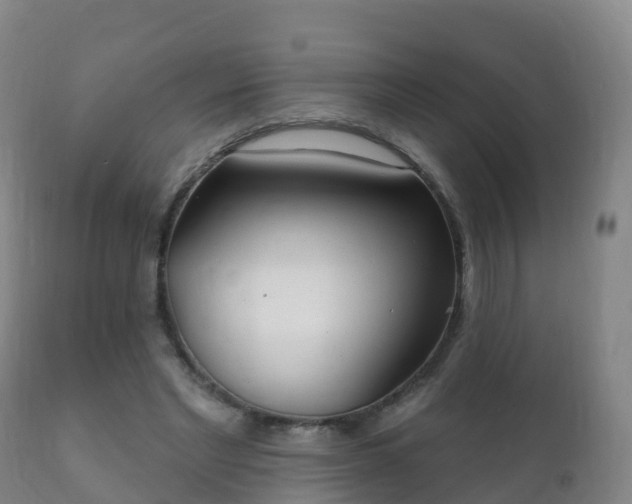 X0000112360493200908201506