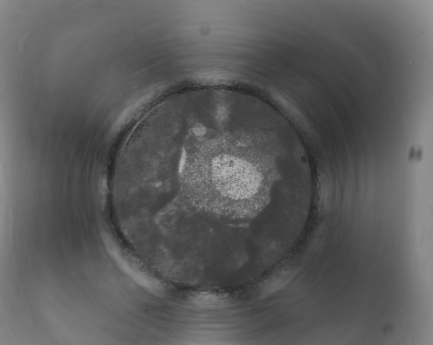 X0000112360494200908201506