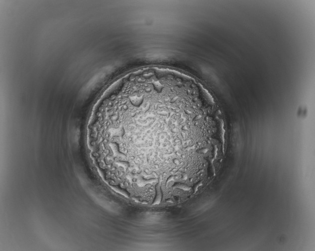 X0000112360495200908201506