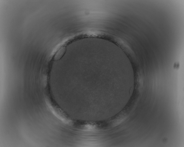 X0000112360496200908201506