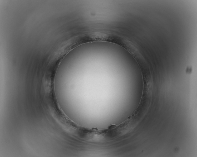 X0000112360498200908201506