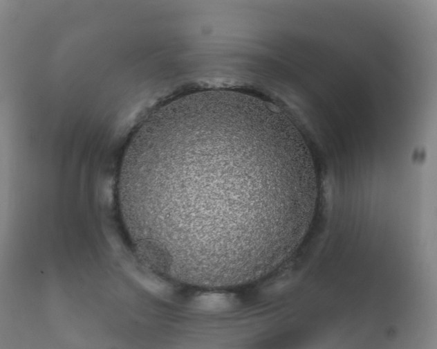 X0000112360499200908201506