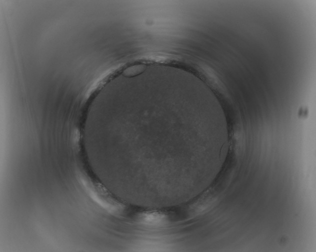 X0000112360500200908201506