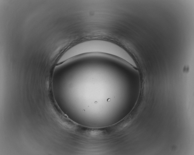 X0000112360501200908201506