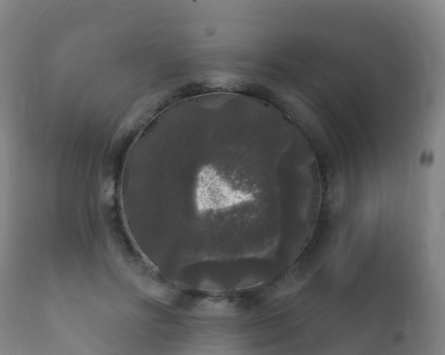 X0000112360502200908201506