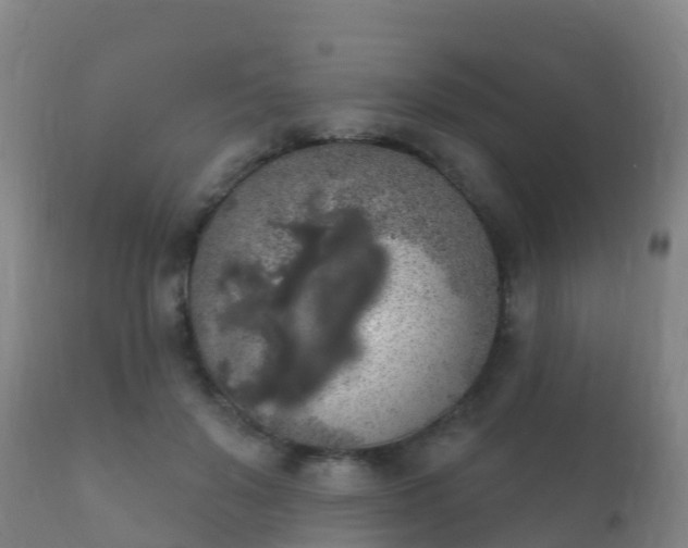 X0000112360503200908201506