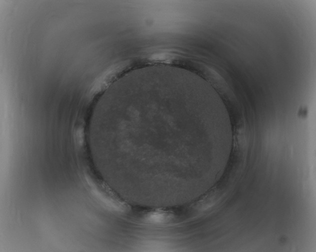 X0000112360504200908201506