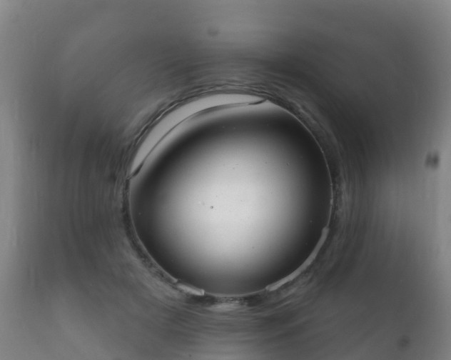 X0000112360505200908201506