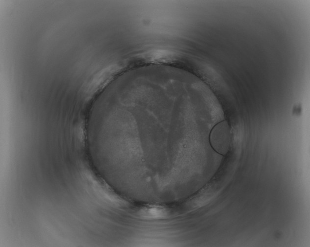 X0000112360506200908201506