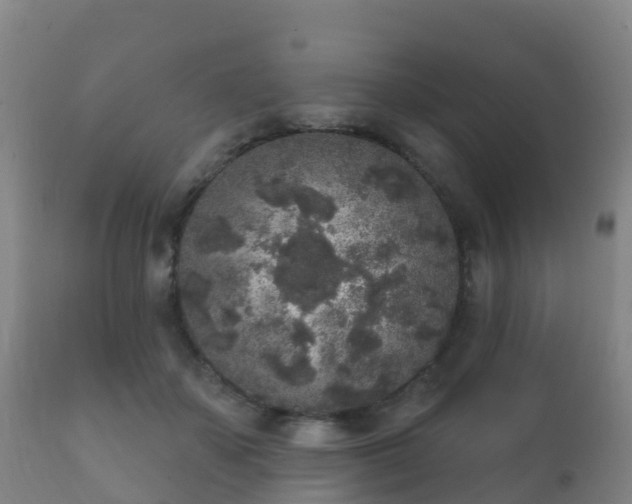 X0000112360507200908201506