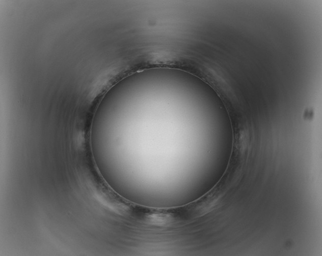 X0000112360508200908201506