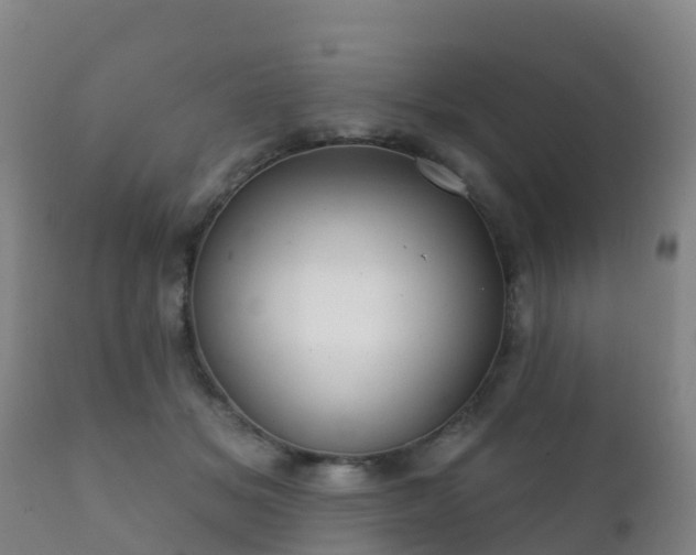 X0000112360509200908201506