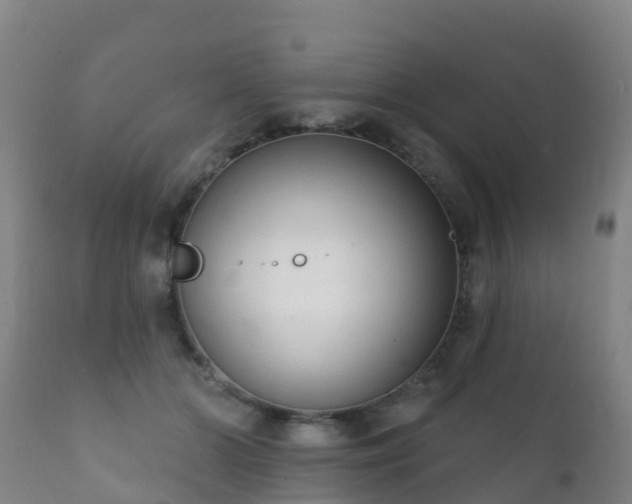 X0000112360510200908201506