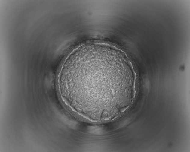 X0000112360511200908201506