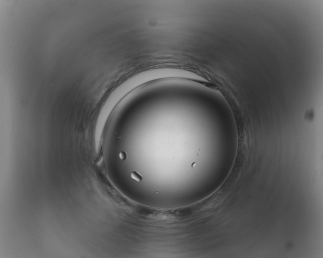 X0000112360512200908201506