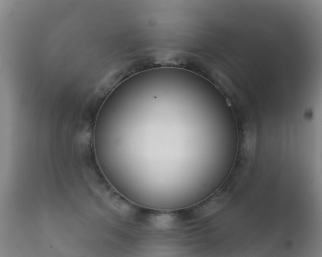 X0000112360513200908201506