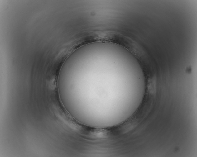 X0000112360514200908201506