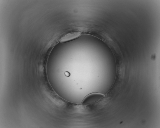 X0000112360516200908201506