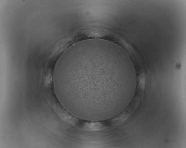 X0000112360517200908201506