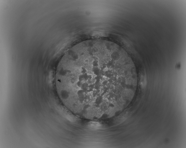 X0000112360519200908201506