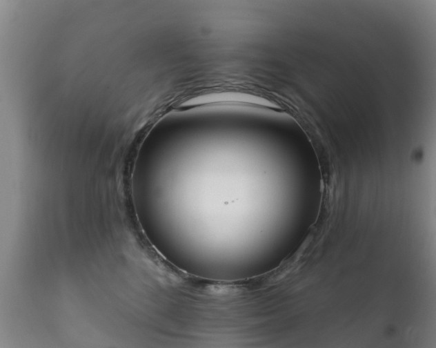 X0000112360520200908201506