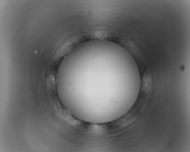 X0000112360522200908201506