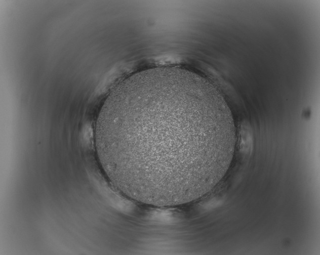 X0000112360523200908201506