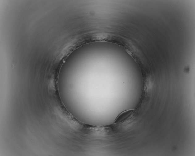 X0000112360524200908201506