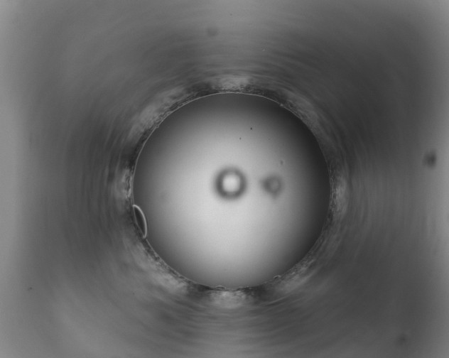 X0000112360525200908201506