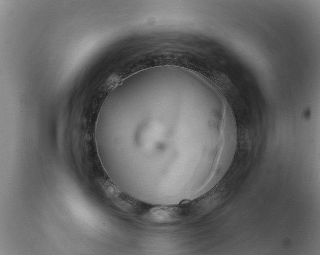 X0000112360526200908201506