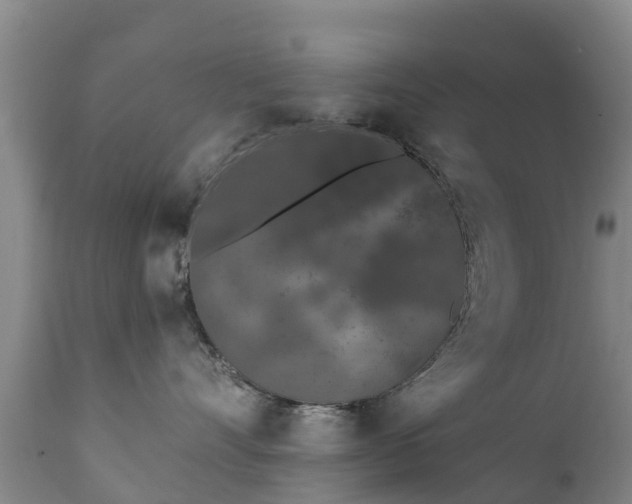 X0000112360528200908201506