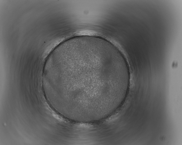 X0000112360529200908201505