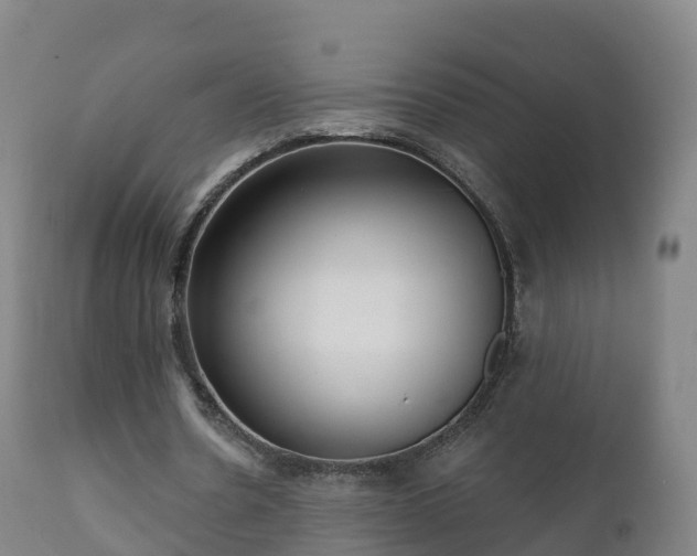 X0000112360530200908201505