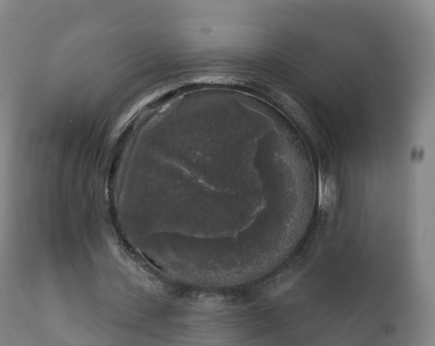 X0000112360531200908201505