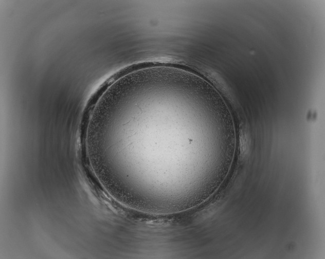 X0000112360532200908201505