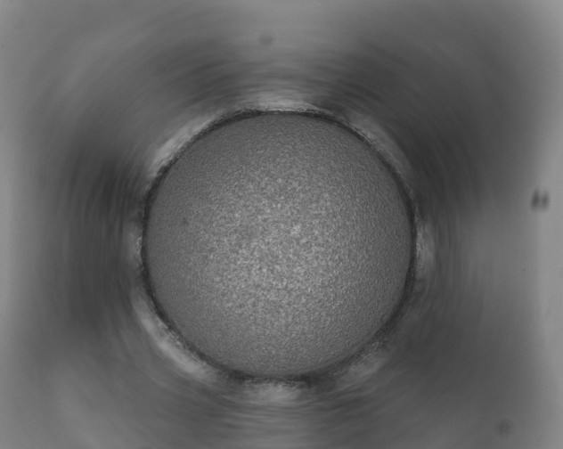 X0000112360533200908201505