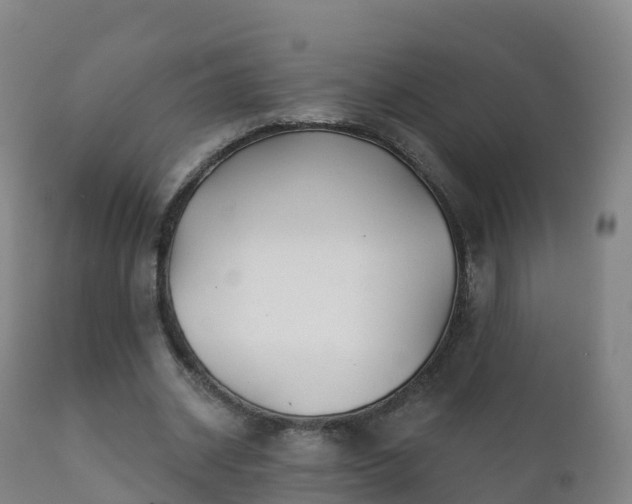 X0000112360534200908201505