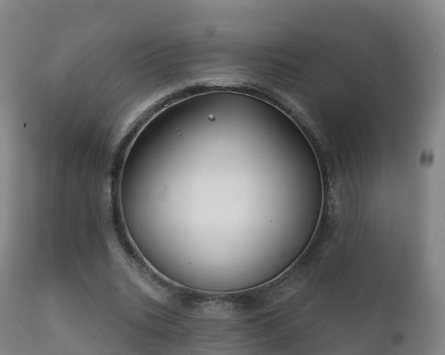 X0000112360535200908201505