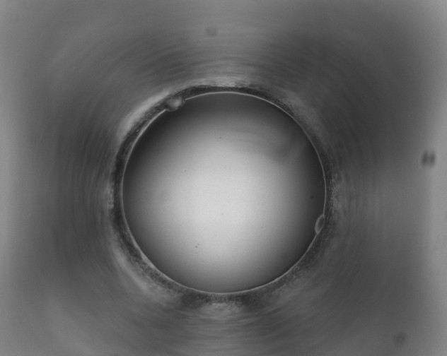 X0000112360536200908201505