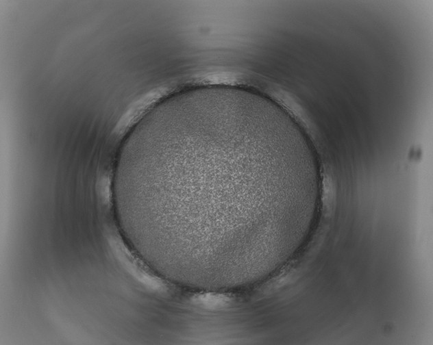 X0000112360537200908201505