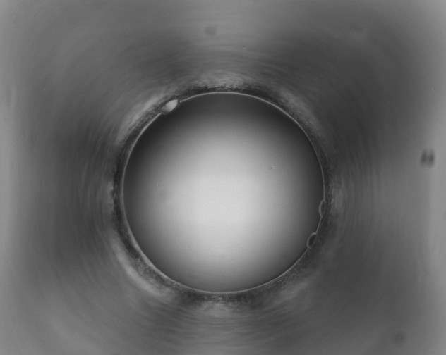 X0000112360538200908201505