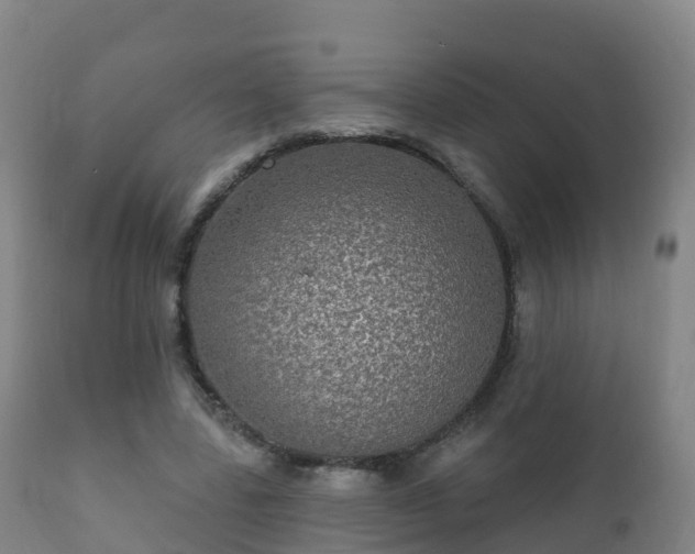 X0000112360539200908201505