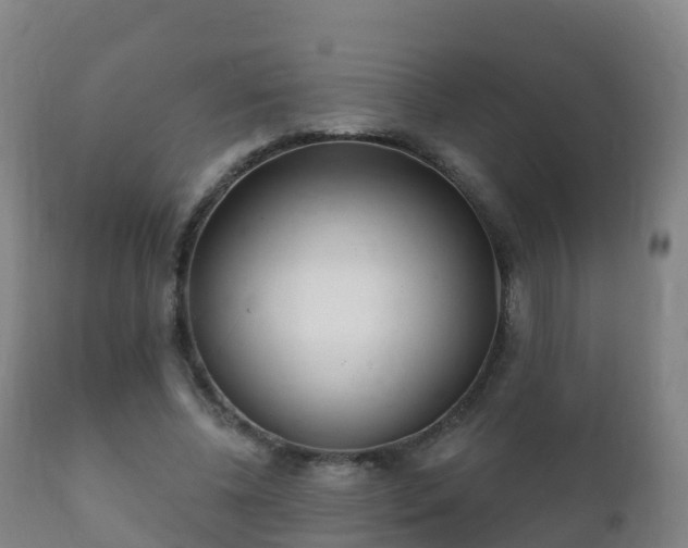 X0000112360540200908201505