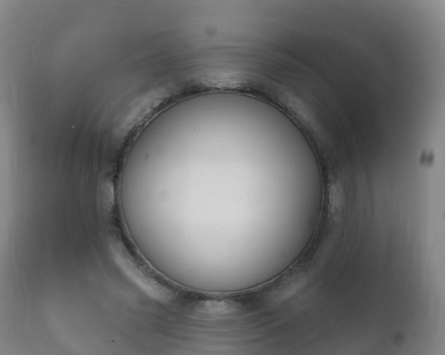 X0000112360541200908201505