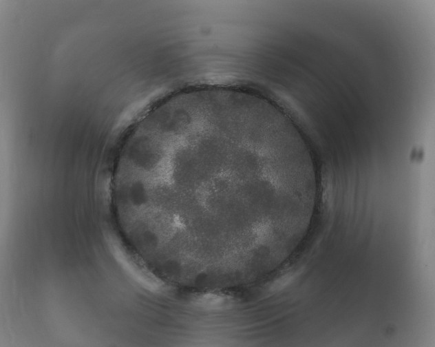 X0000112360542200908201505