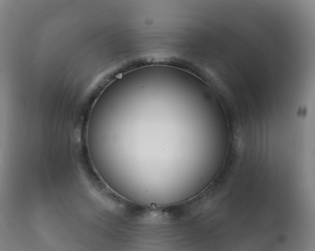 X0000112360543200908201505