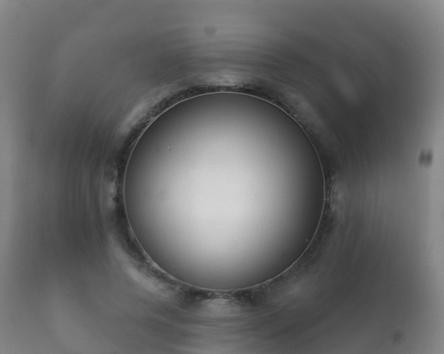 X0000112360544200908201505