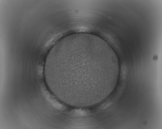 X0000112360545200908201505