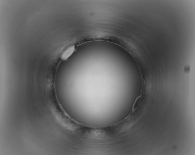 X0000112360546200908201505