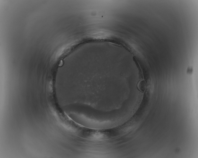 X0000112360547200908201505